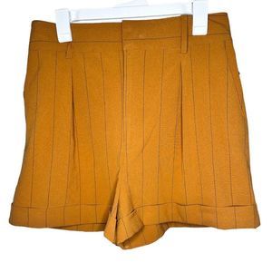 Danielle Bernstein Women's Pinstriped Shorts Dark Orange Size 10